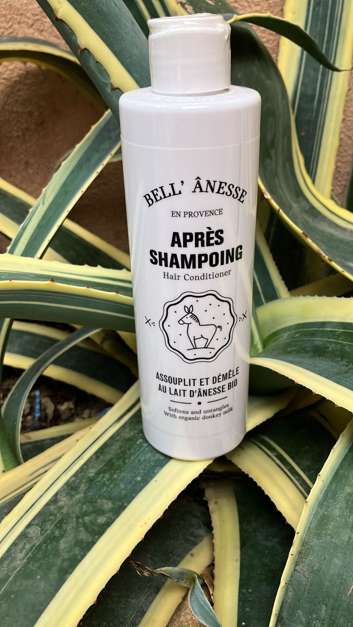 Après-shampoing au lait d'ânesse 250ml