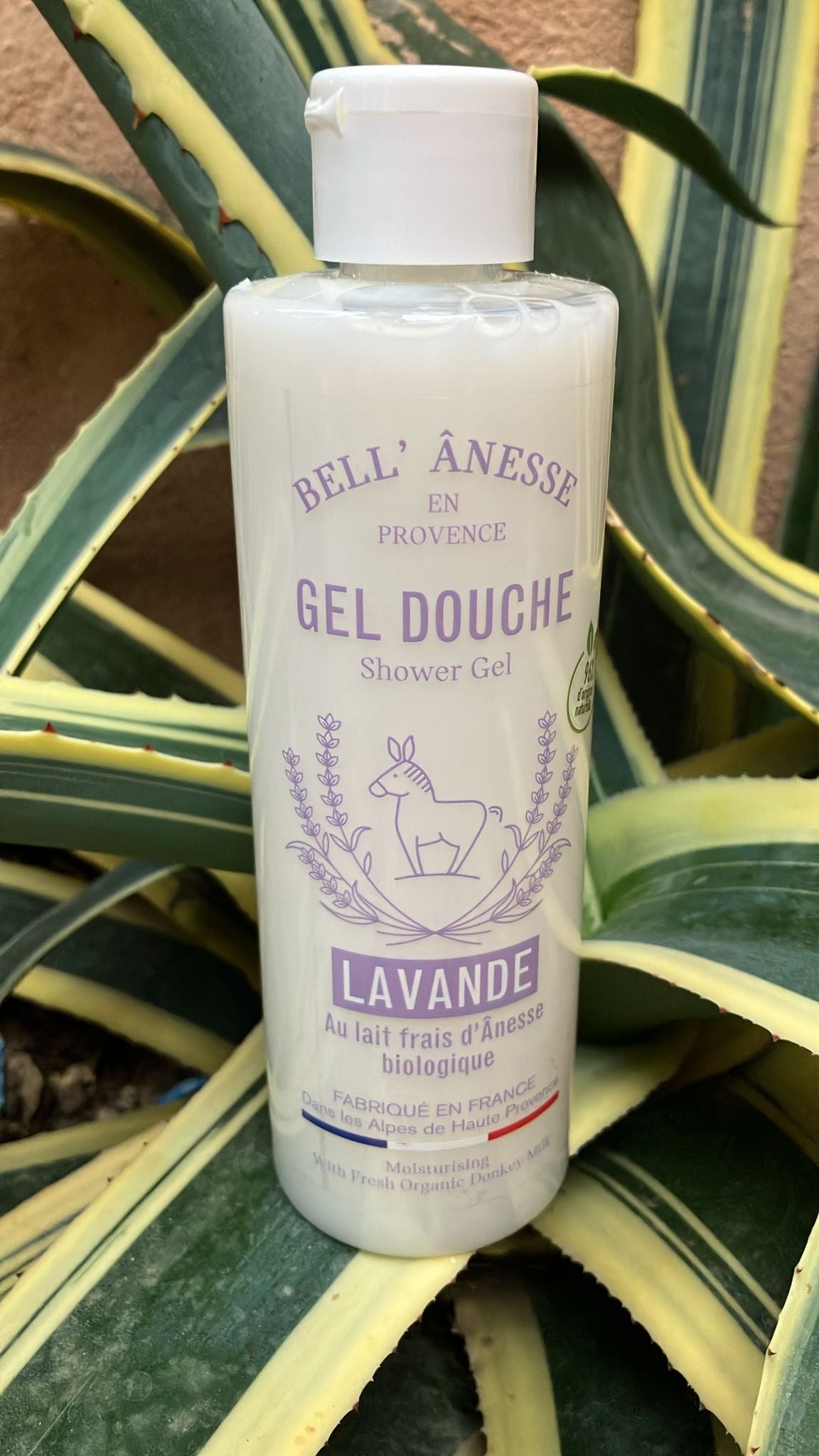 Gel douche à la lavande 250ml
